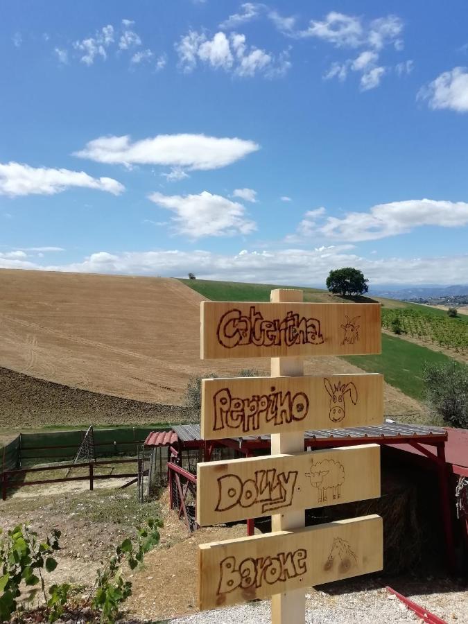 Frühstückspension Gli Amici Del Tubarello Roseto Degli Abruzzi