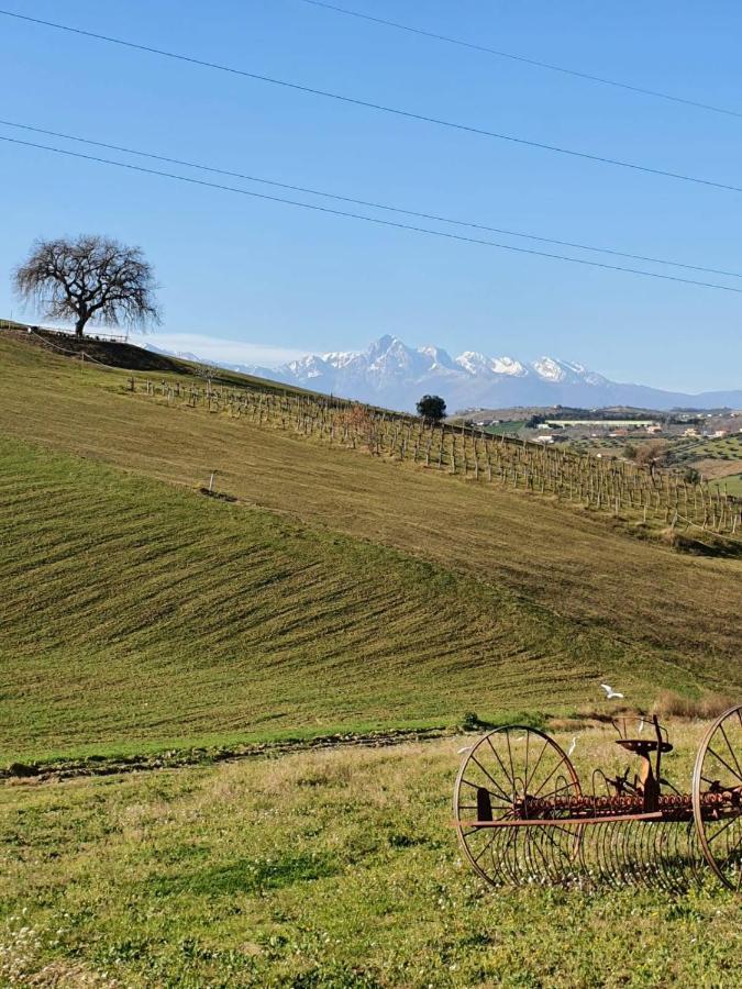 Gli Amici Del Tubarello Frühstückspension