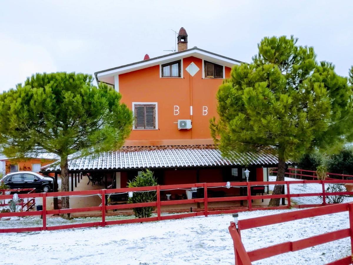 Gli Amici Del Tubarello Bed & Breakfast