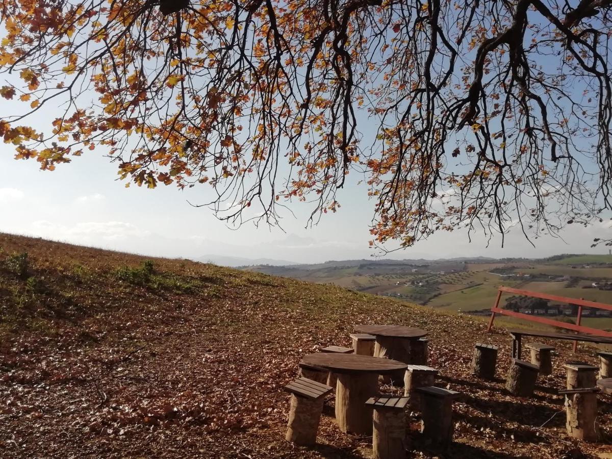 Gli Amici Del Tubarello Bed & Breakfast