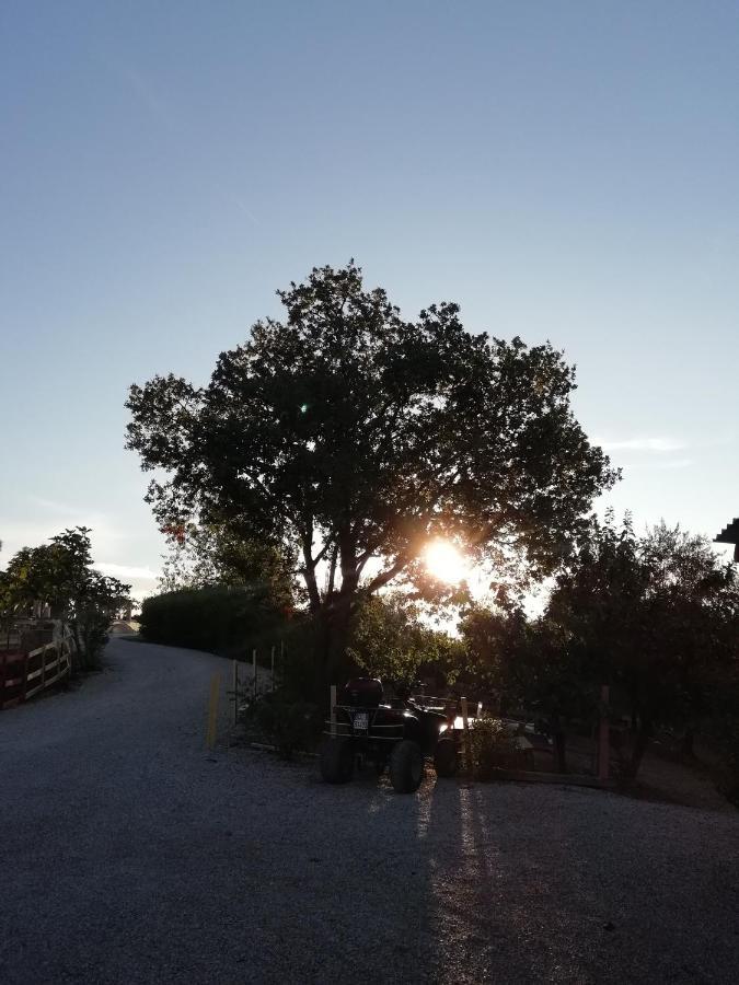 Gli Amici Del Tubarello Bed & Breakfast *