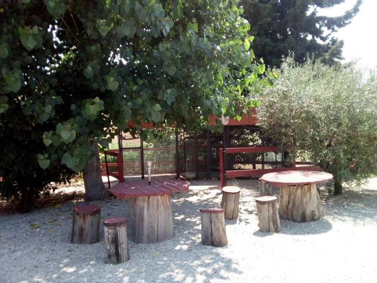 Gli Amici Del Tubarello * Roseto Degli Abruzzi