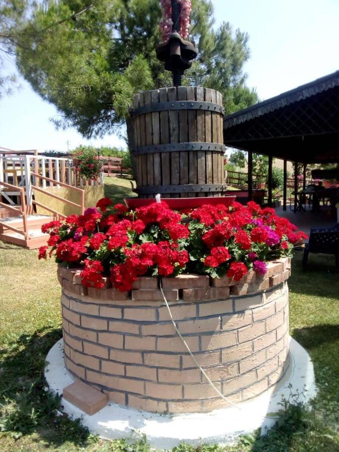 Gli Amici Del Tubarello Roseto Degli Abruzzi