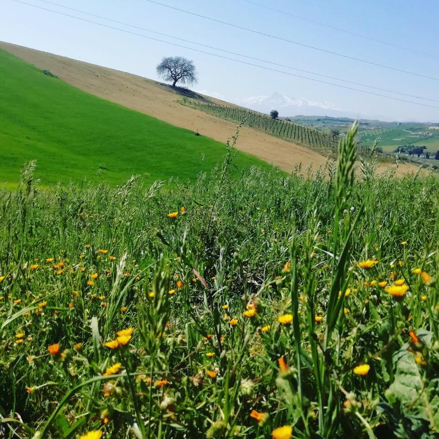 Frühstückspension Gli Amici Del Tubarello Roseto Degli Abruzzi