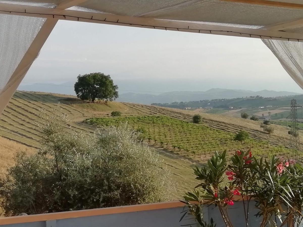 Gli Amici Del Tubarello