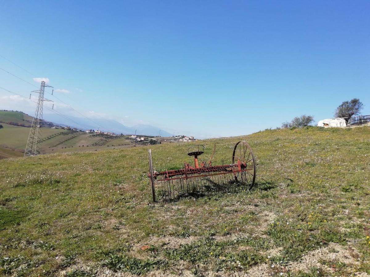 Bed & Breakfast Gli Amici Del Tubarello *