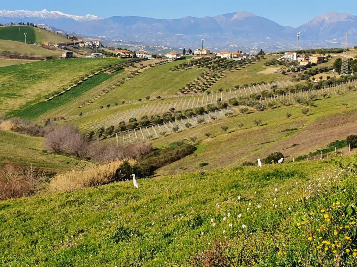 Frühstückspension Gli Amici Del Tubarello Roseto Degli Abruzzi
