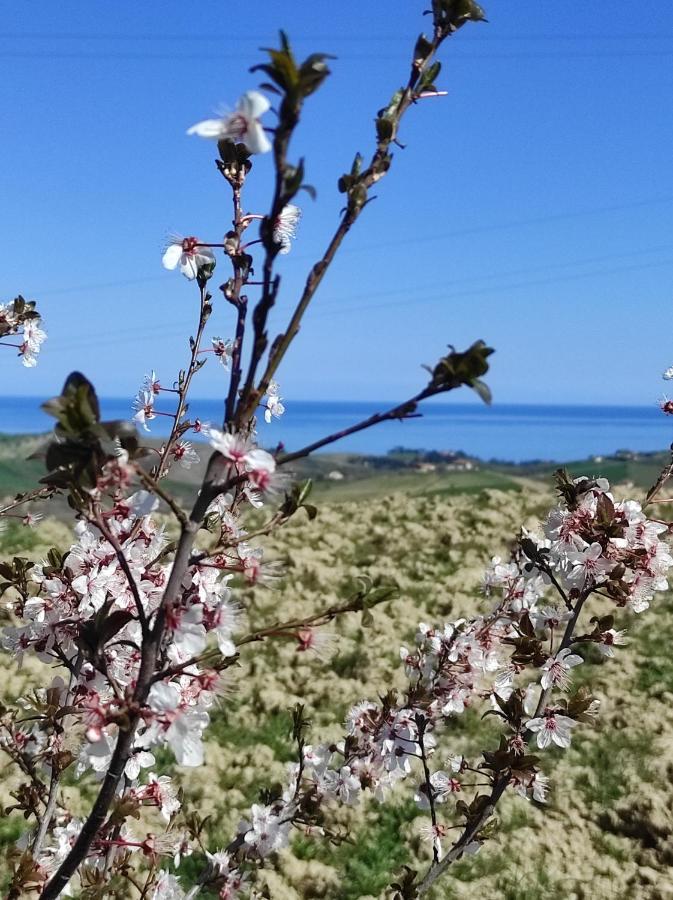 Gli Amici Del Tubarello Bed & Breakfast *