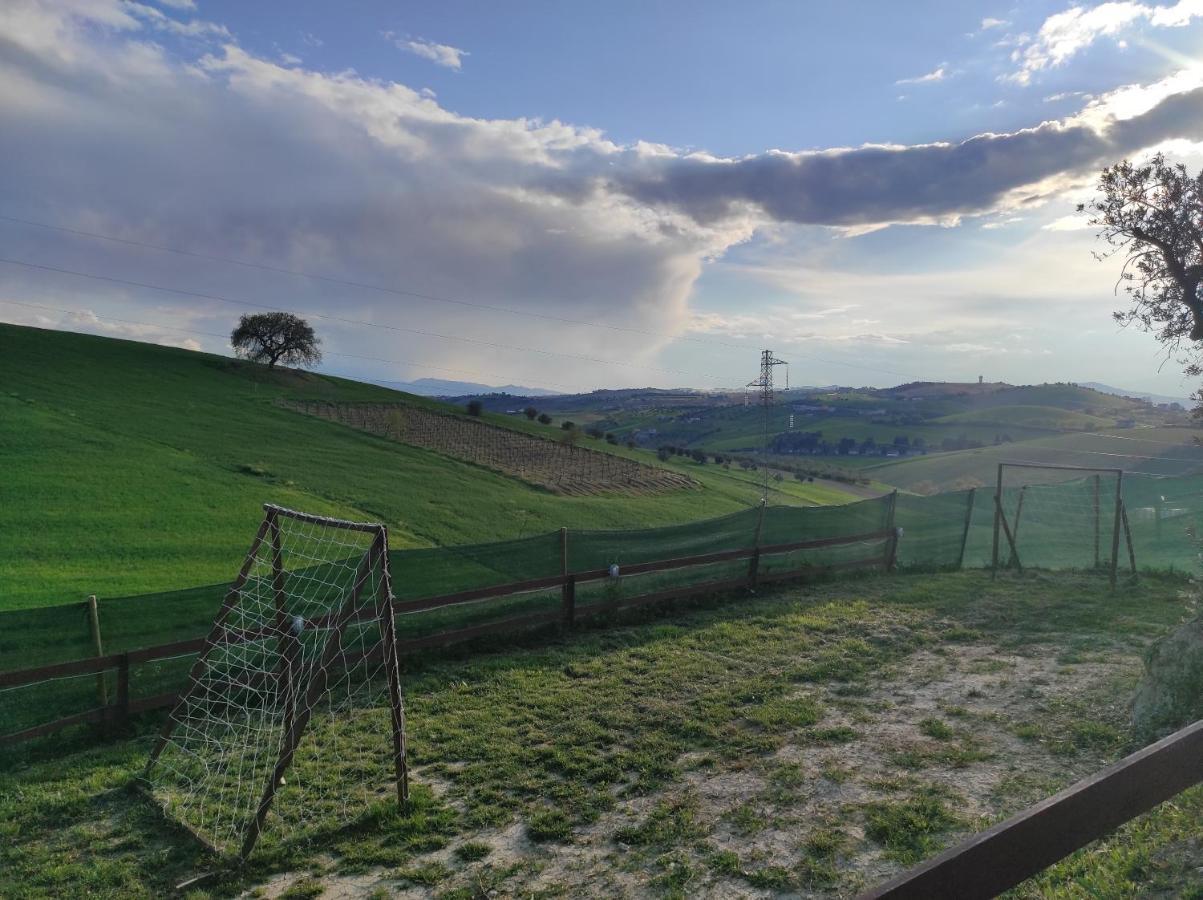 Gli Amici Del Tubarello *