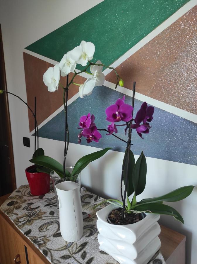 Bed & Breakfast Gli Amici Del Tubarello