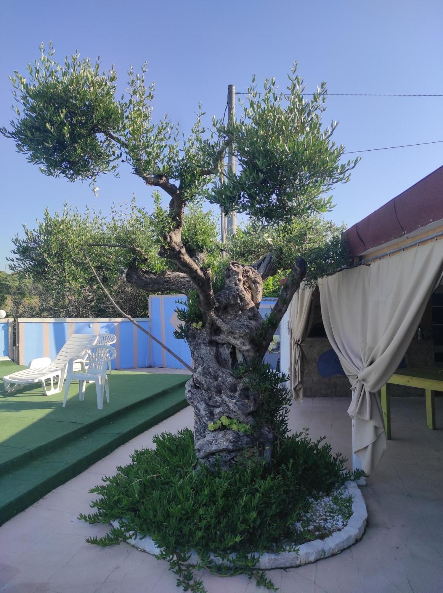 Gli Amici Del Tubarello * Roseto Degli Abruzzi