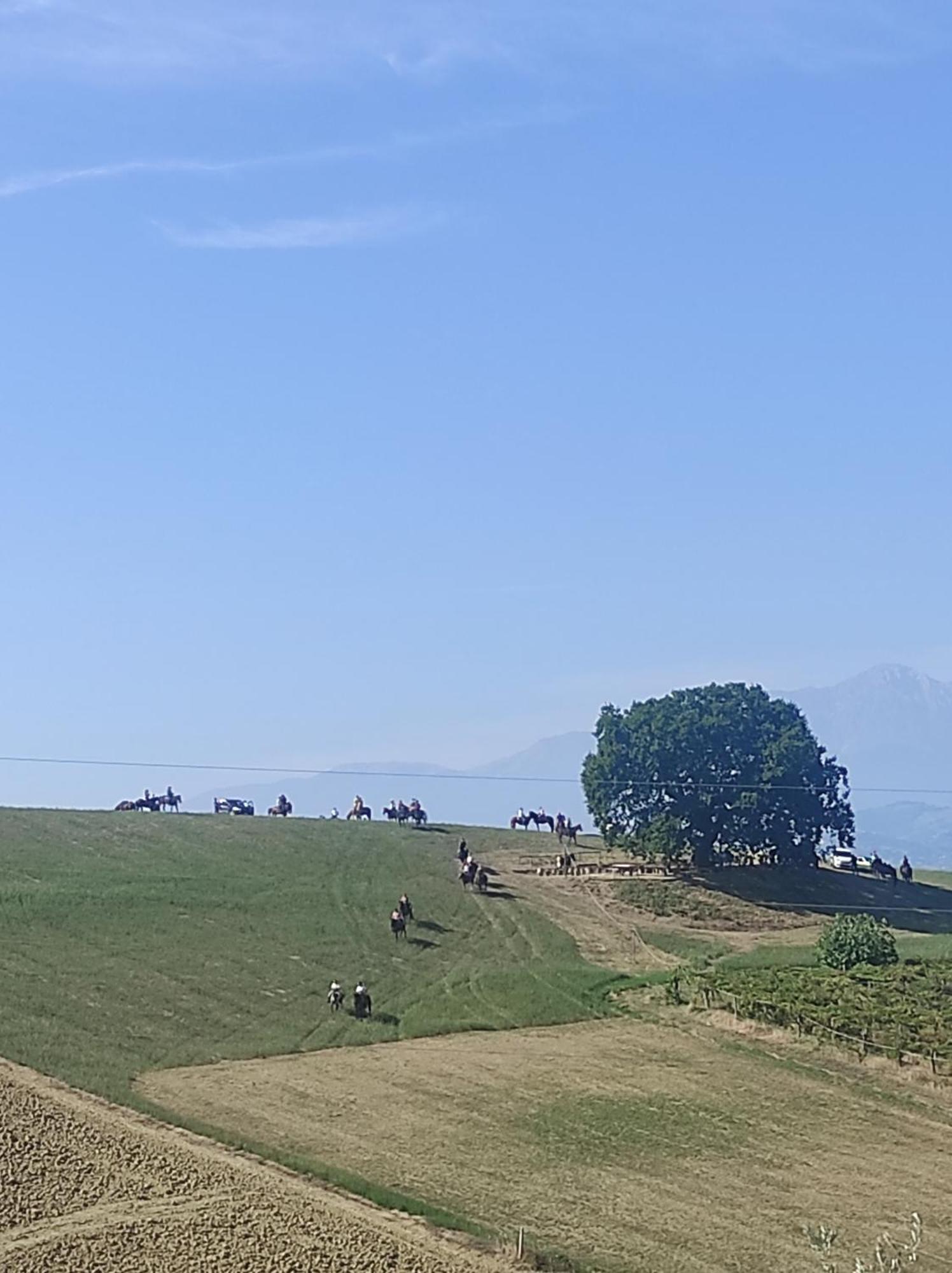 Gli Amici Del Tubarello *