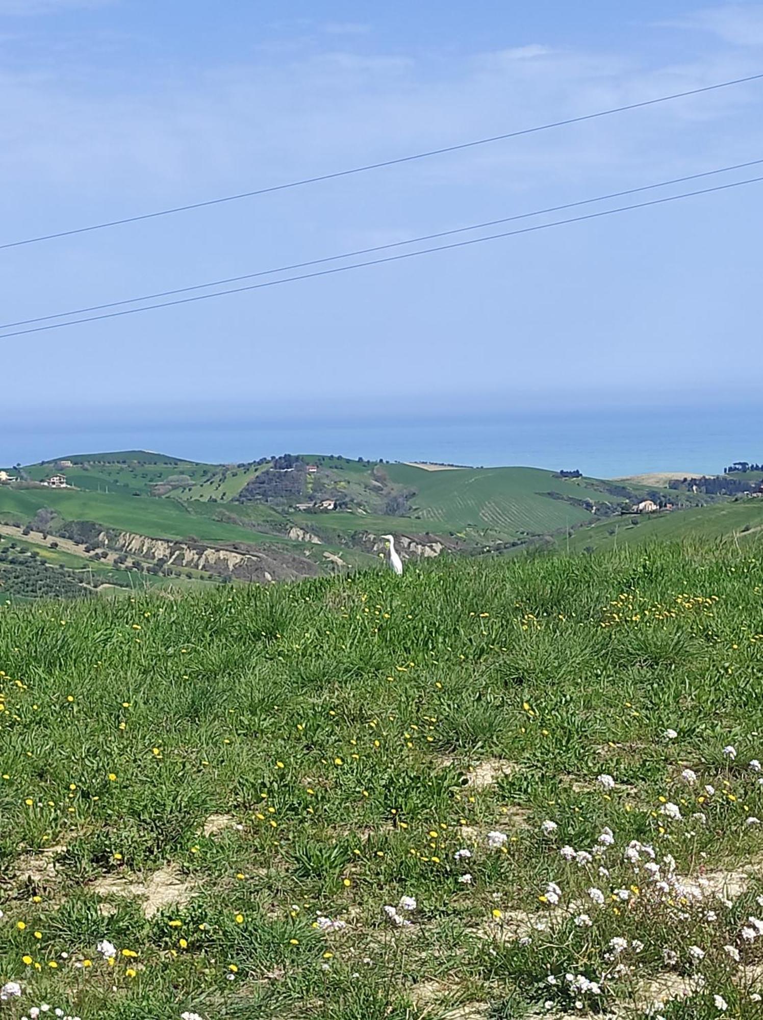 Gli Amici Del Tubarello Frühstückspension Roseto Degli Abruzzi